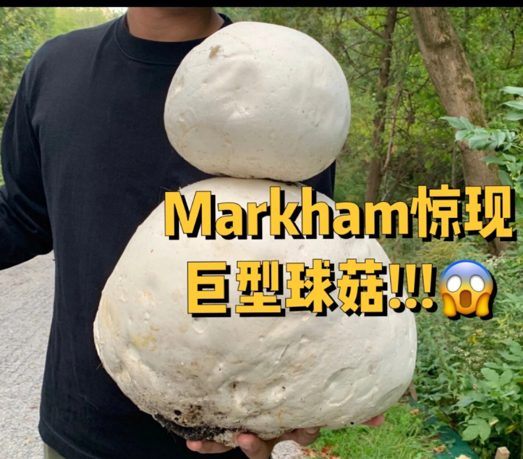 omggggmarkham有巨型蘑菇717171