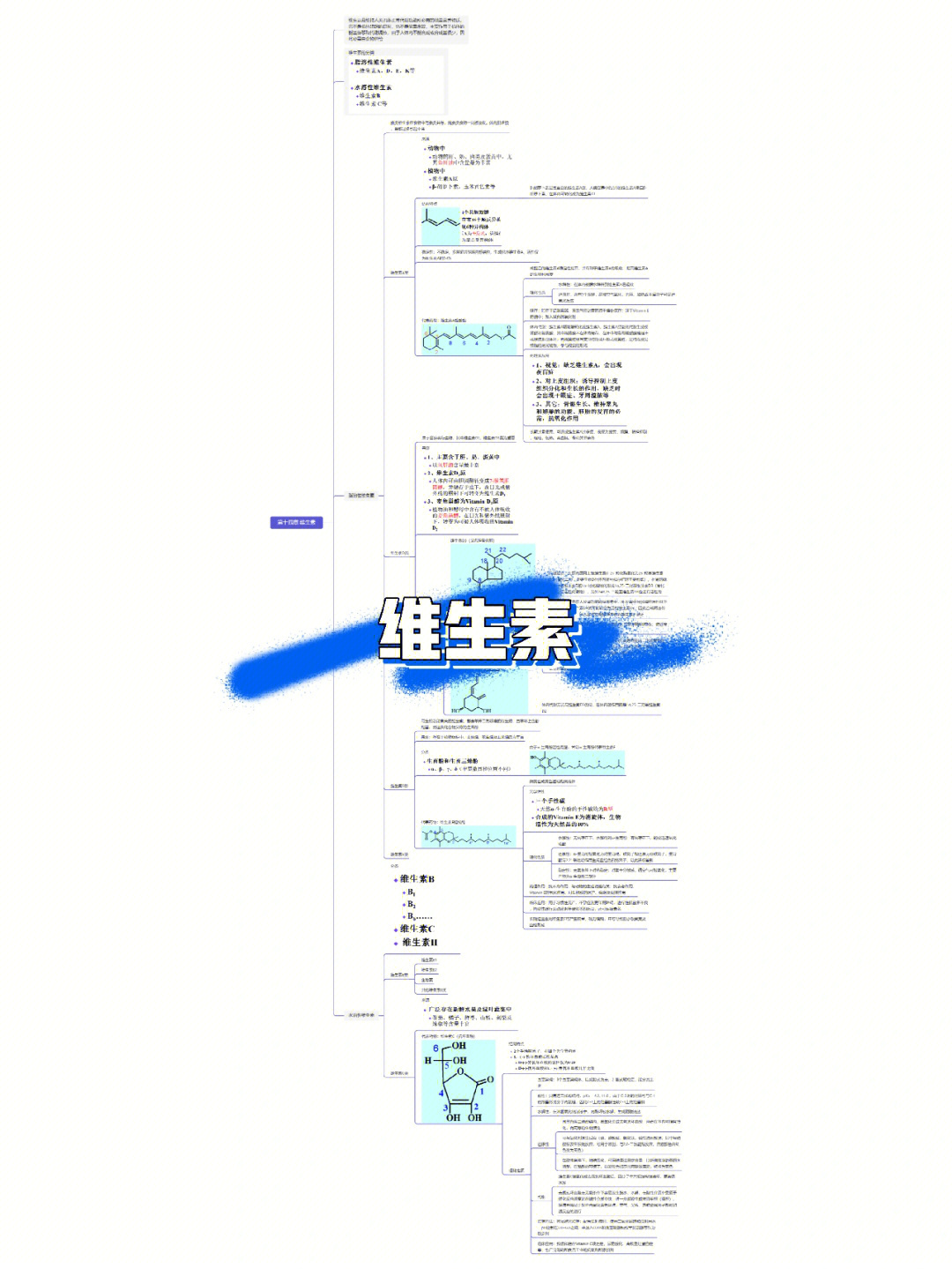 化妆品分类思维导图图片