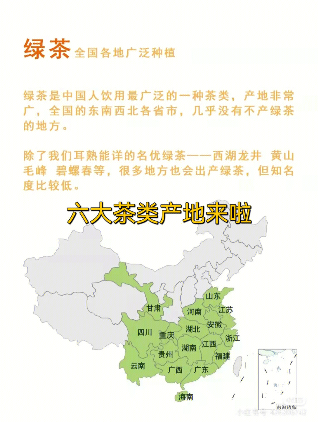 中国茶叶产地分布图图片