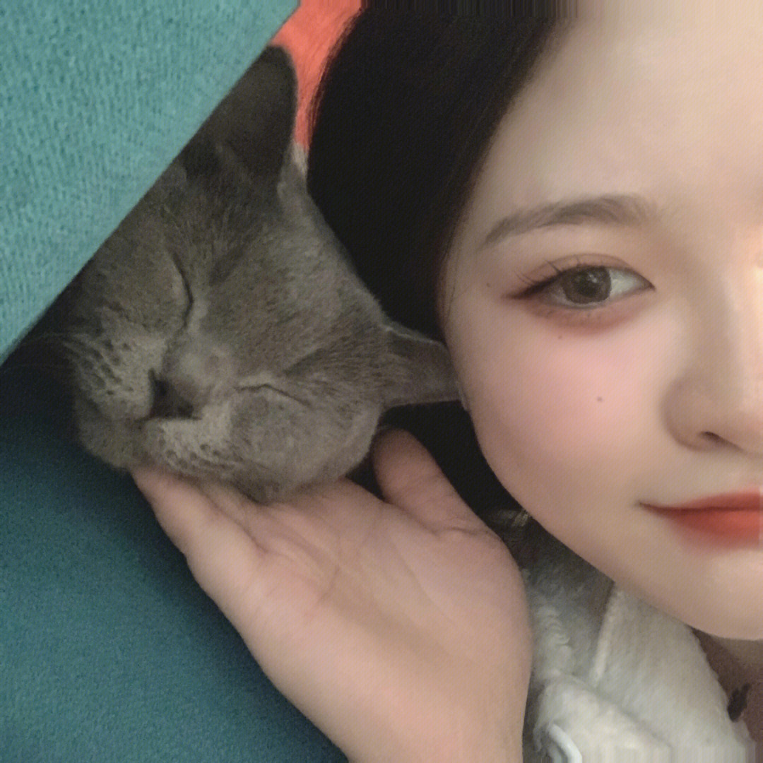 女生抱英短蓝猫头像图片