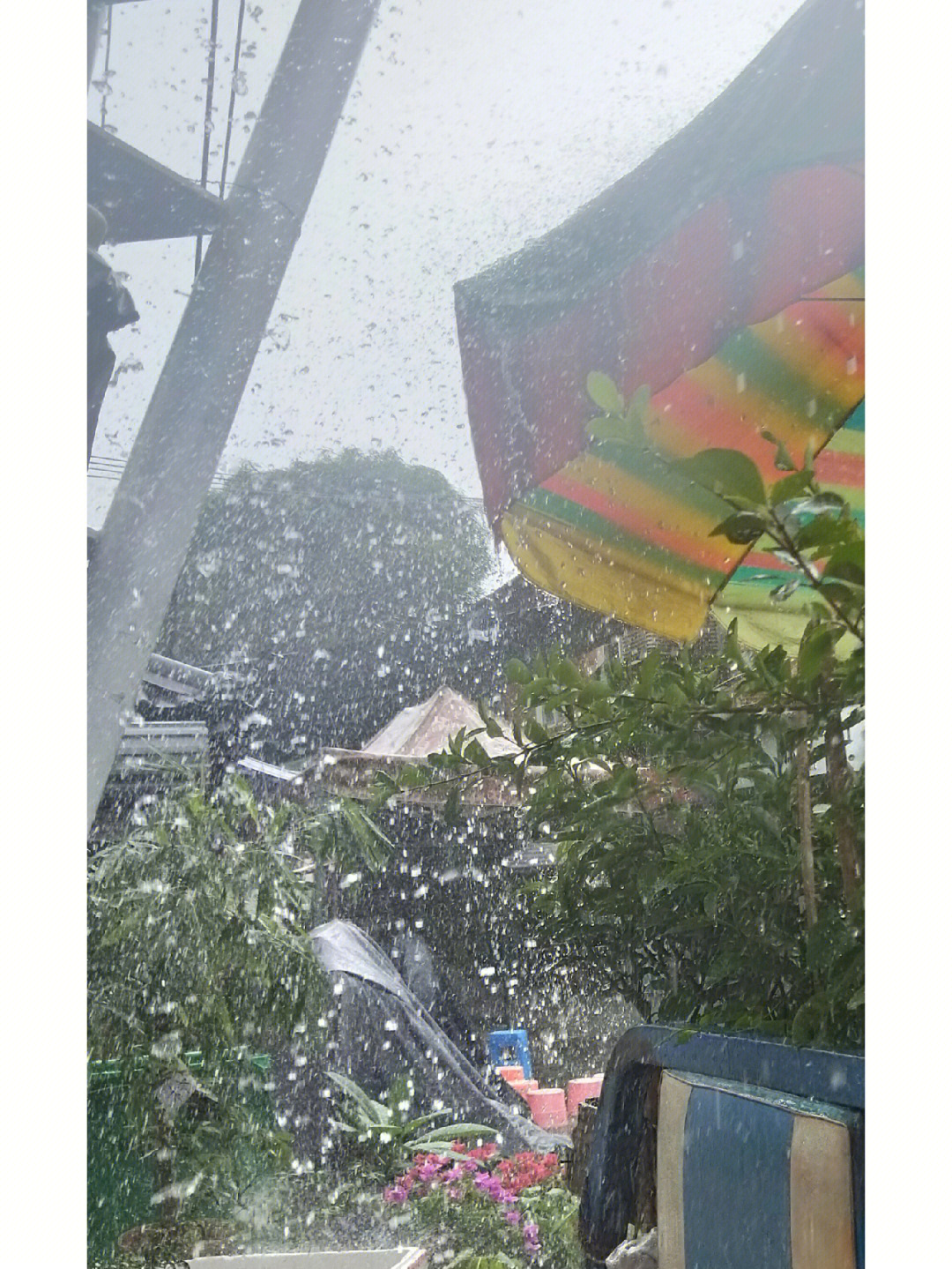 瓢盆大雨图片