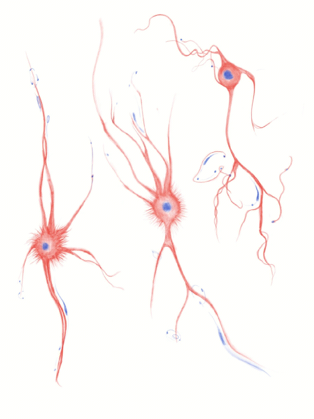 纹身手稿红蓝神经元