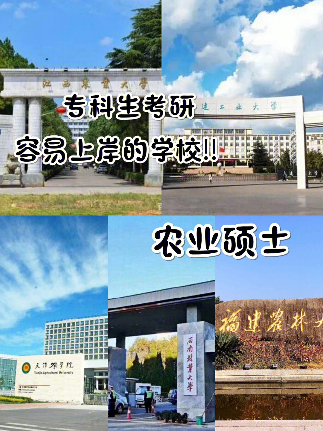 沈阳农业大学就业图片