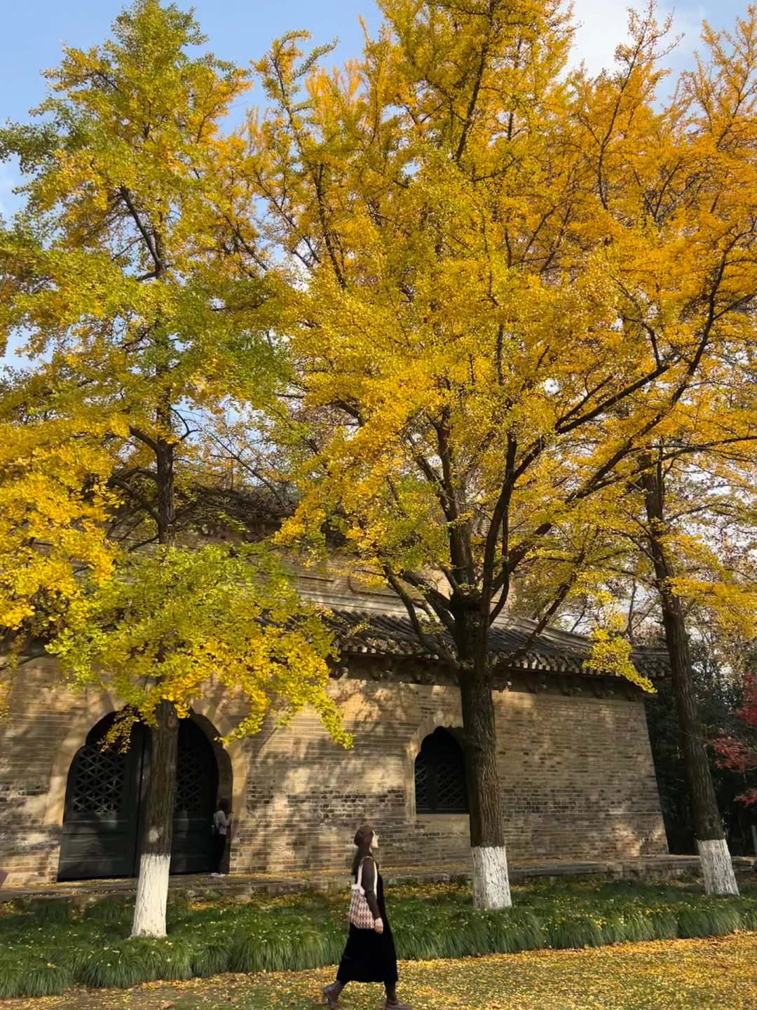 灵谷寺门票优惠政策图片