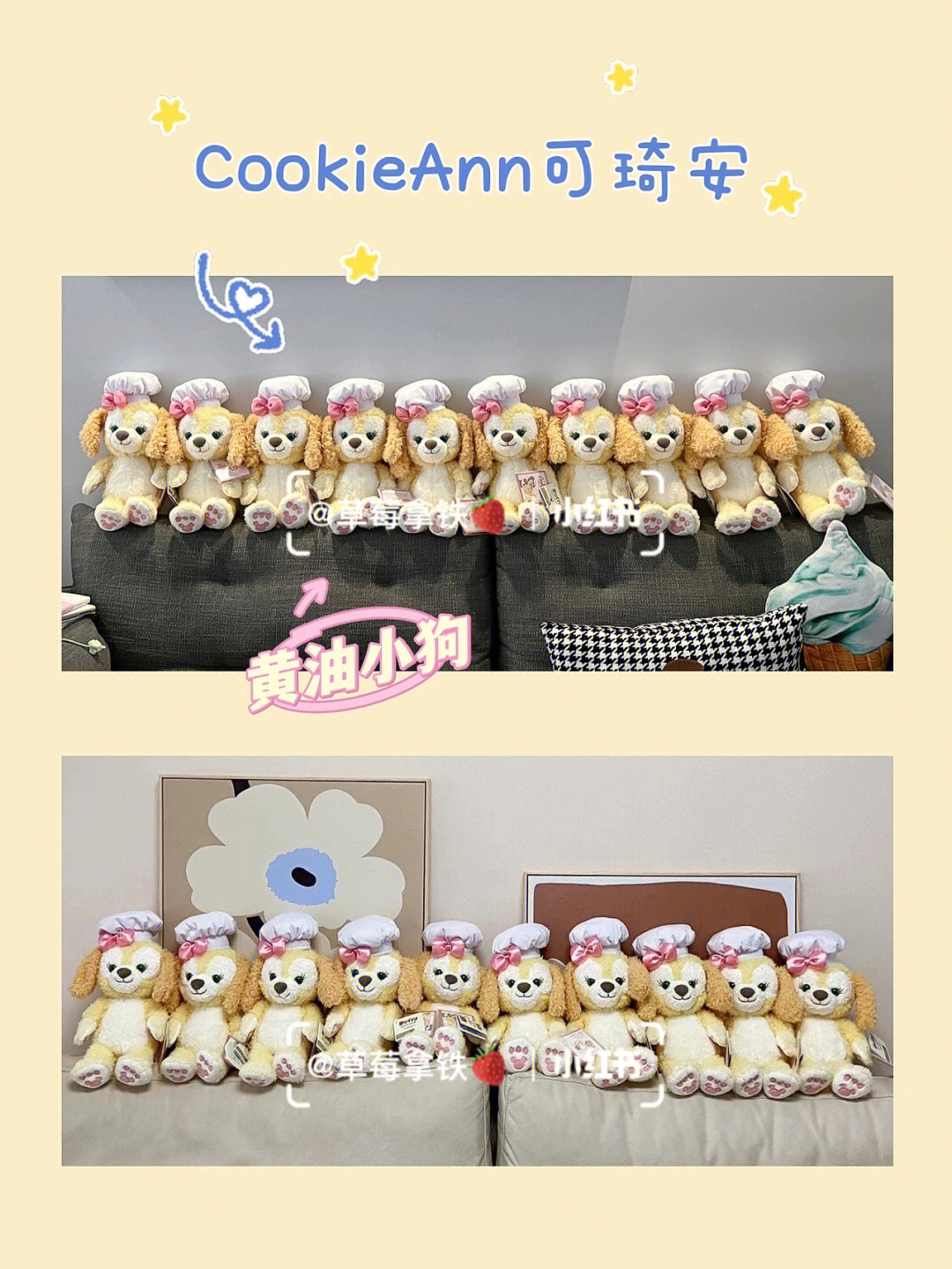 luckycookie图片