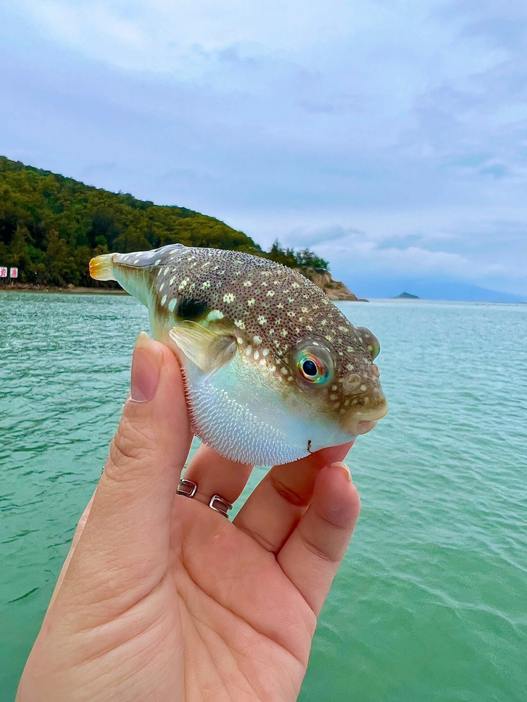 饶平海边旅游景点大全图片