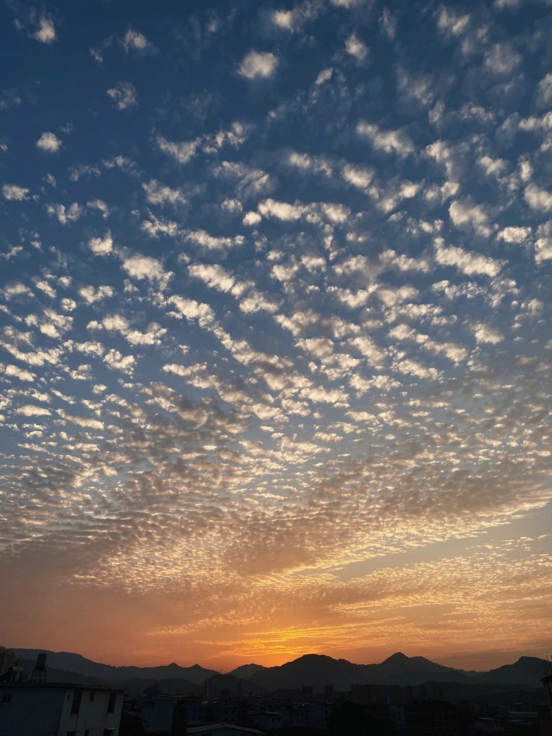 夕阳的余晖图片