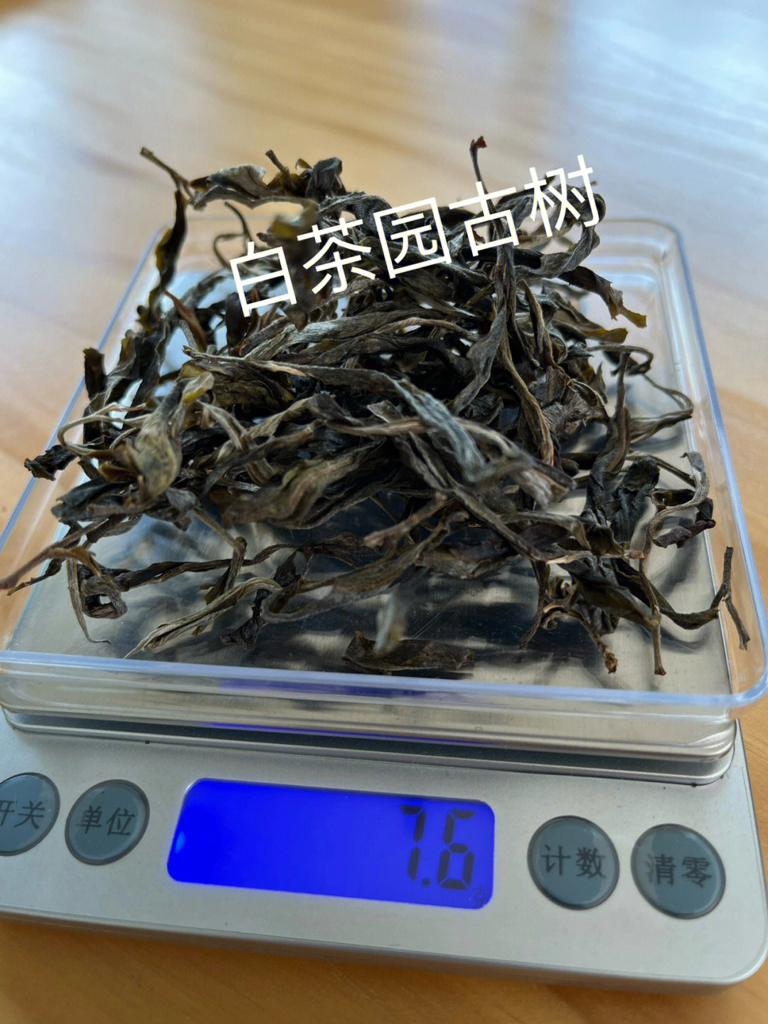 白茶园古树茶口感特点图片