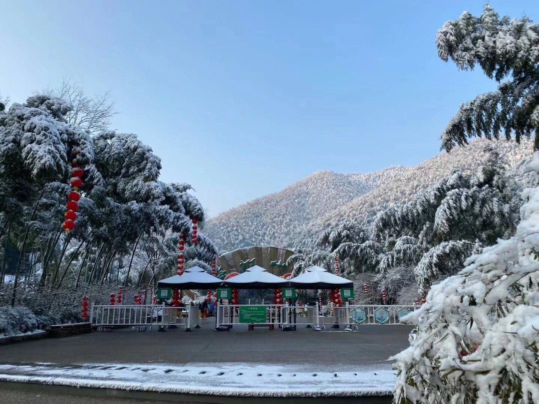 天目湖南山竹海小鸟天堂