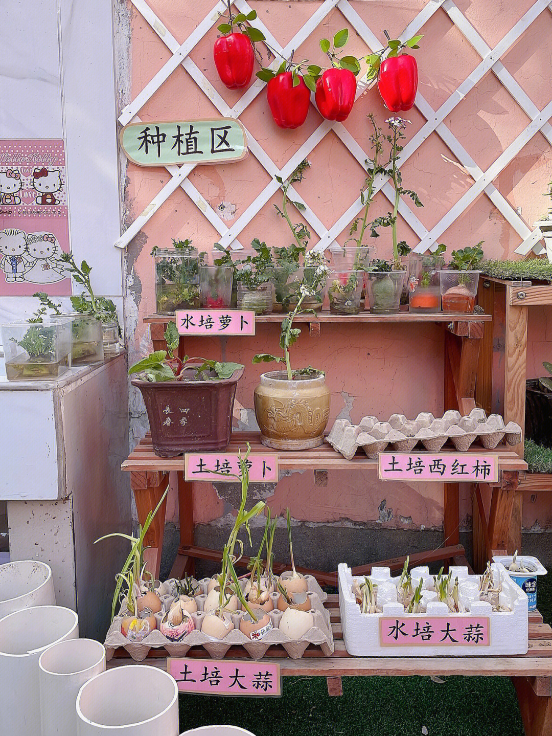 幼儿园种植园名称图片