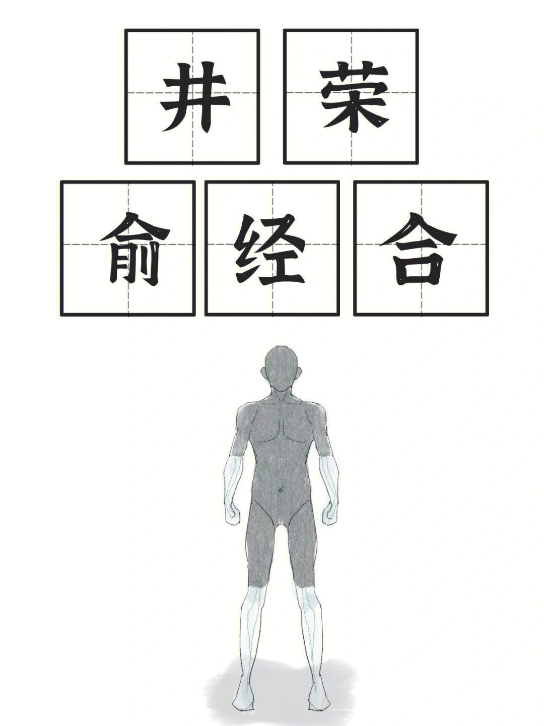 井荣俞经合功能主治图片