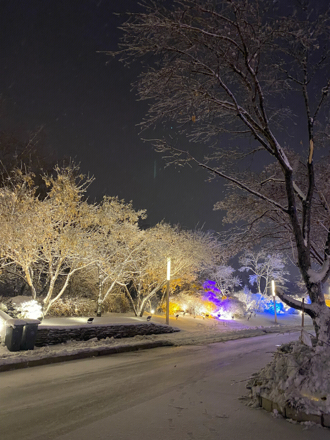 夜晚的雪景