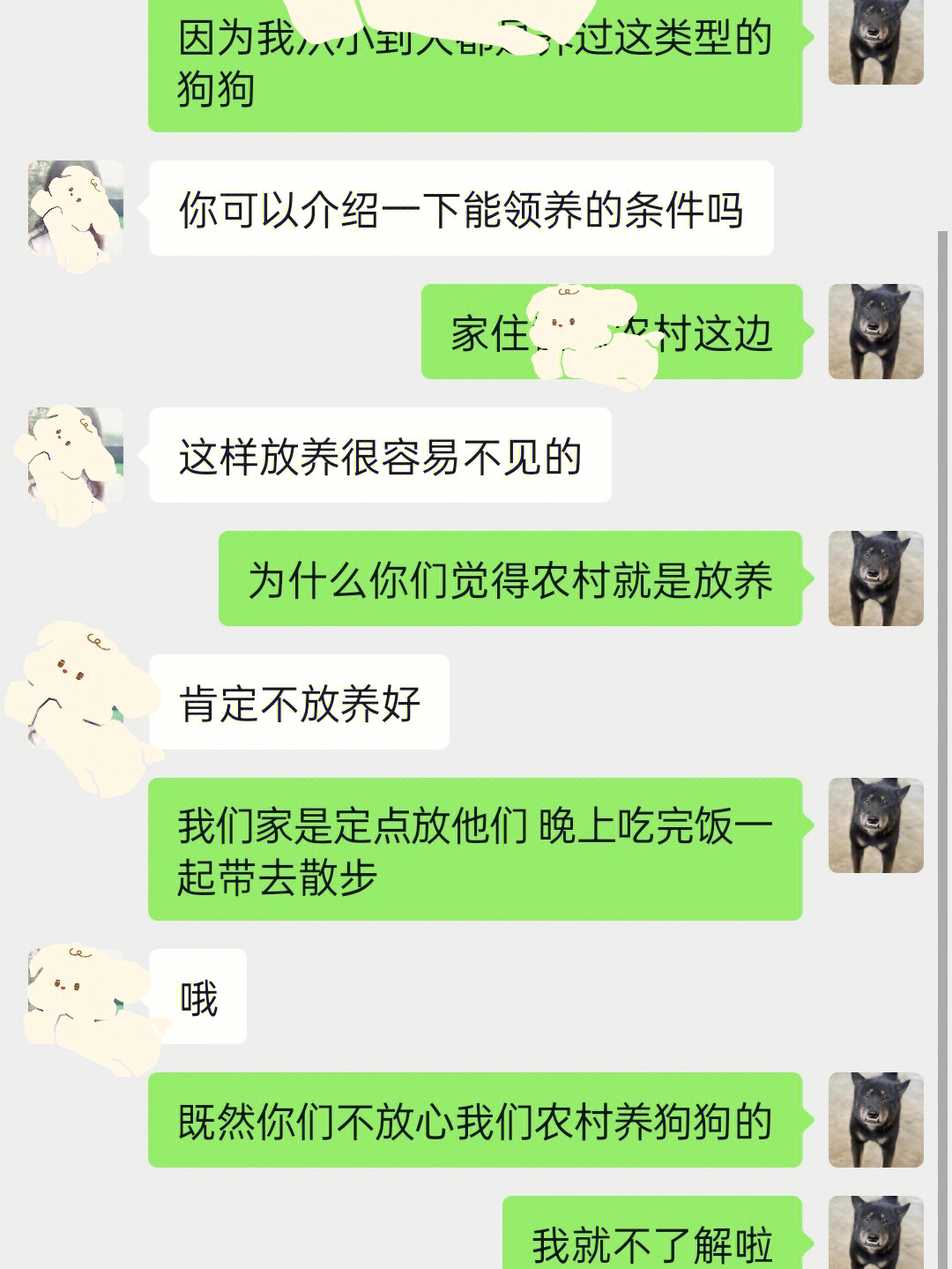 养狗微信群截图图片