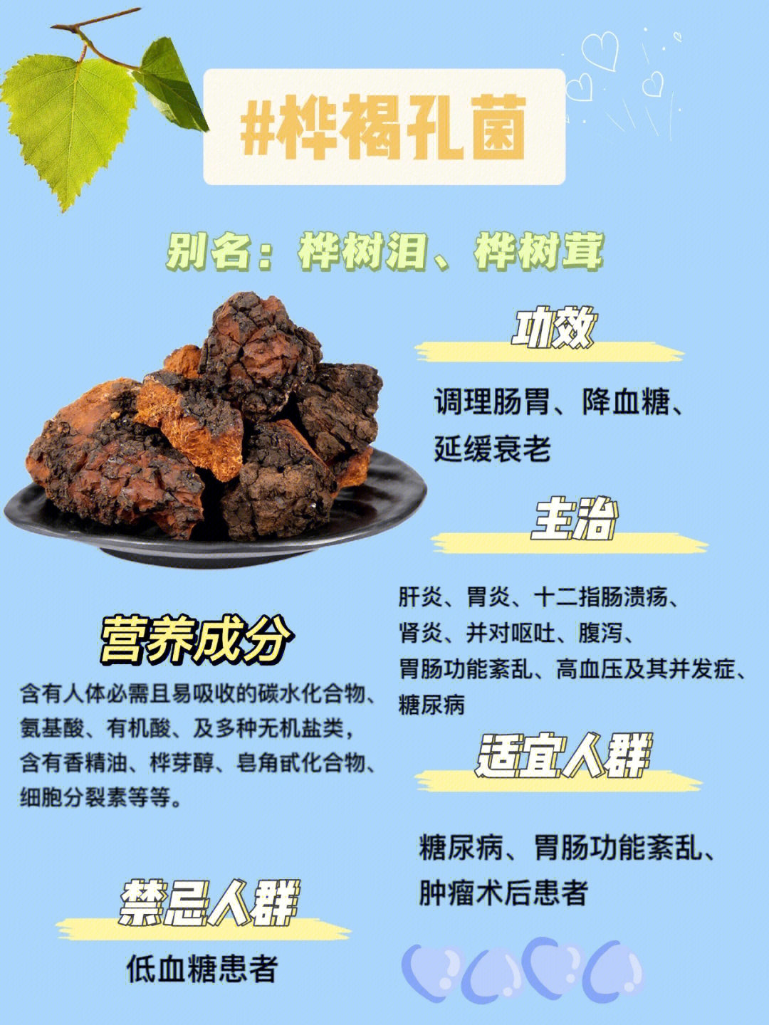 桦树茸的功效及副作用图片