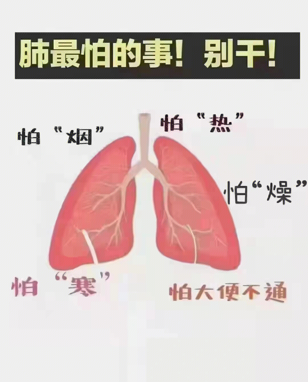 咳粉红色泡沫样痰图片