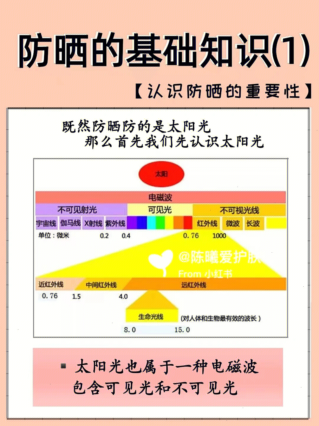 防晒基础知识一认识防晒的重要性