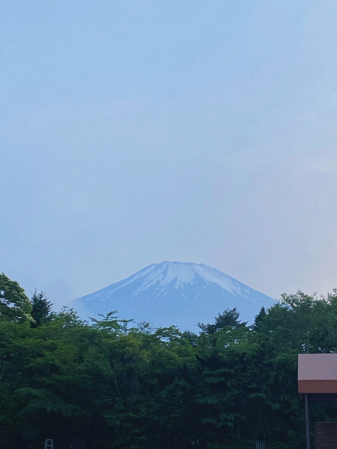 柚子富士山下图片