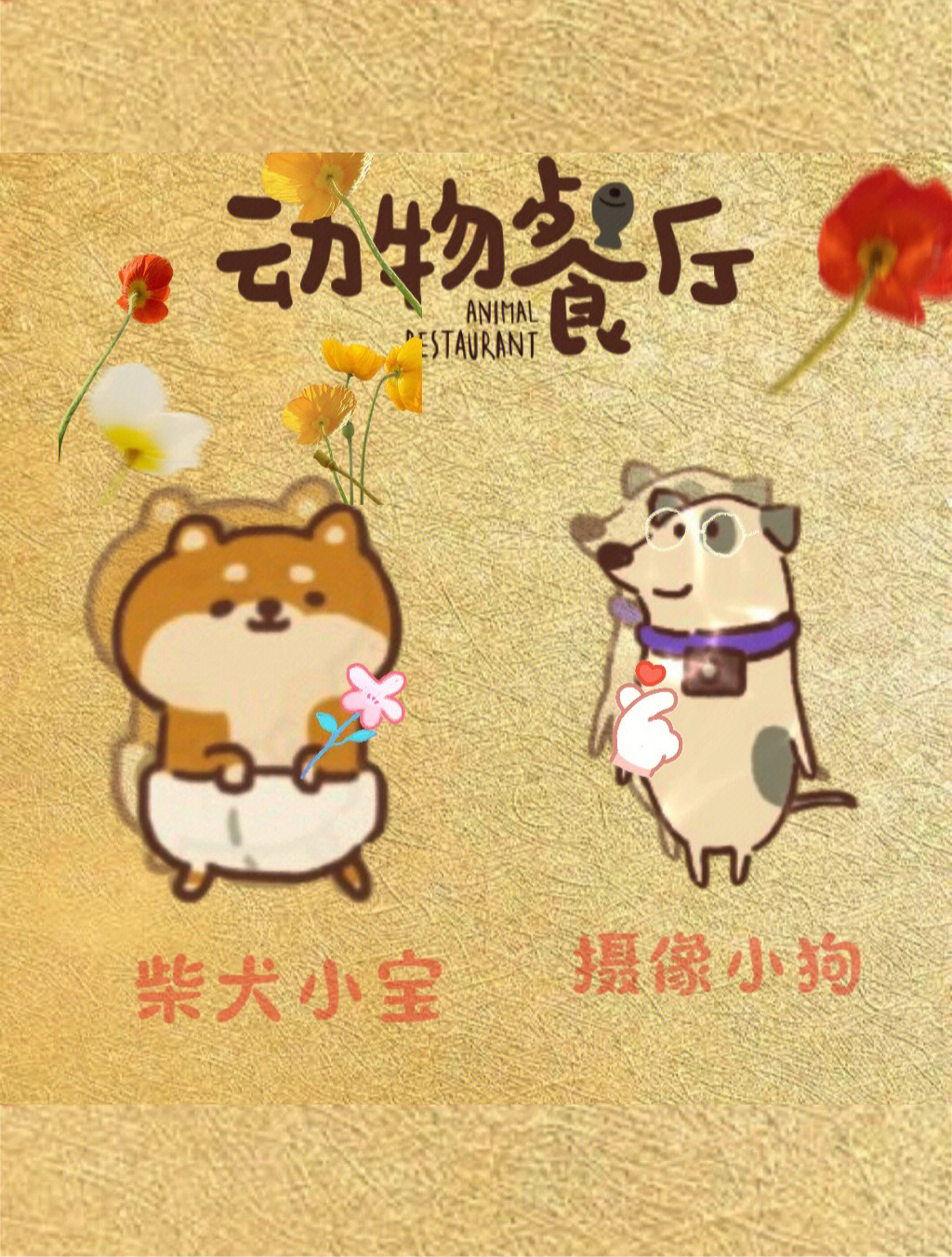 柴犬小宝照片获得流程图片