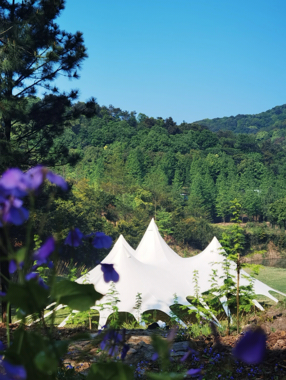 镜湖山庄营地实景现场直播图