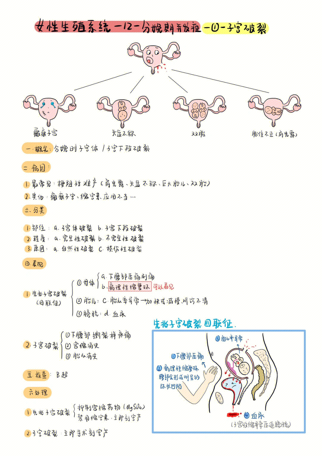 妇产科第四章思维导图图片