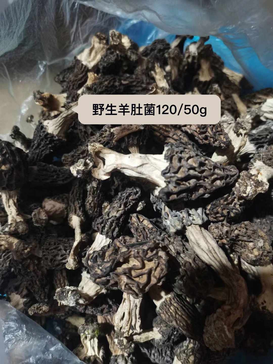 野生羊肚菌12050g