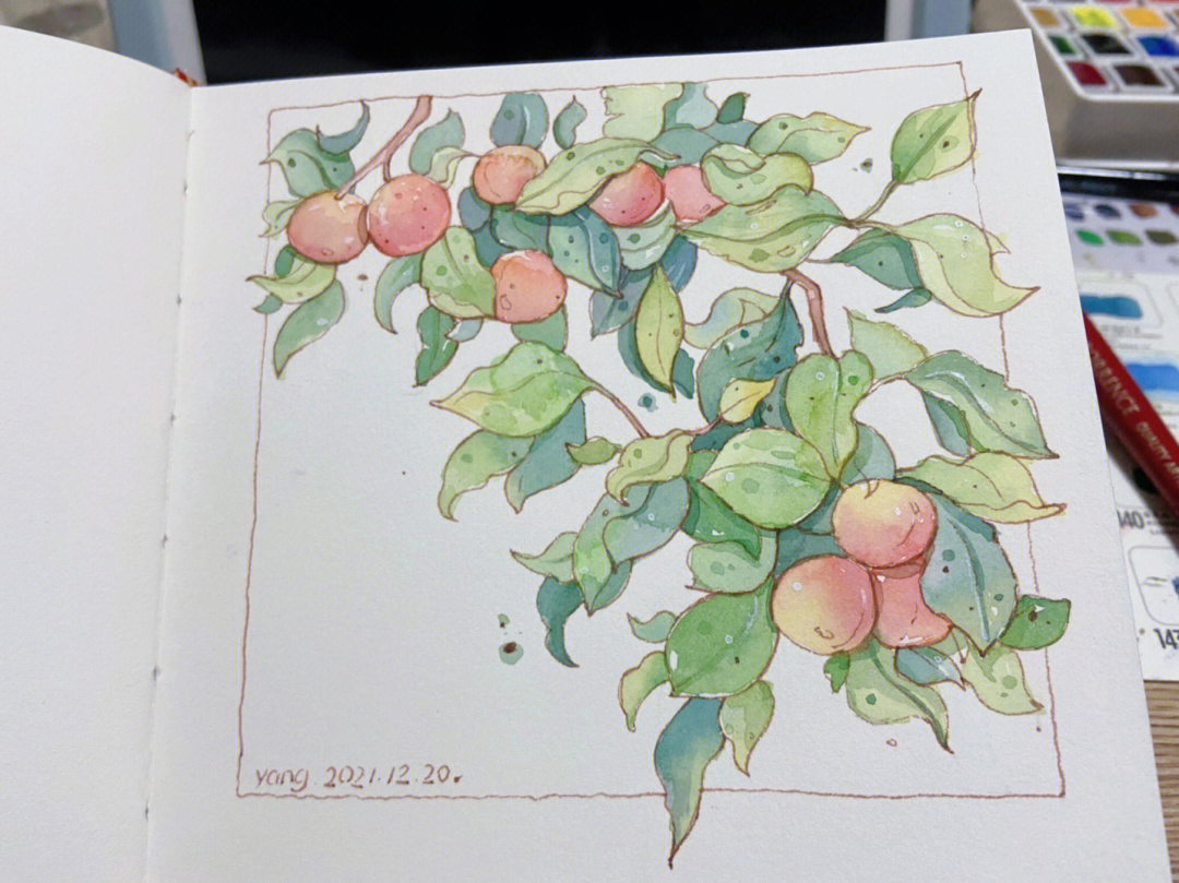 西红柿树绘画图片