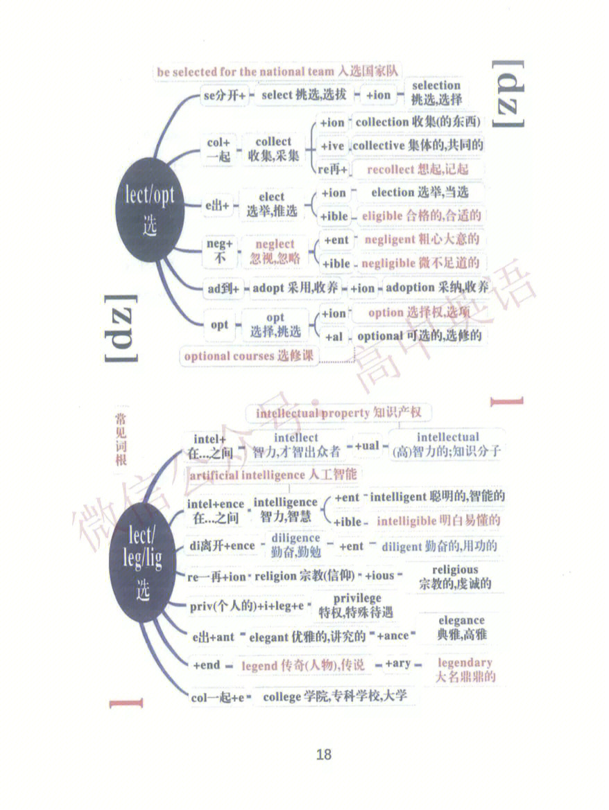 2022届高考必背3500词思维导图版3