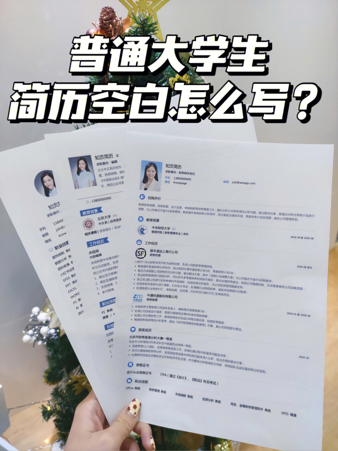 大学教育经历怎么写图片