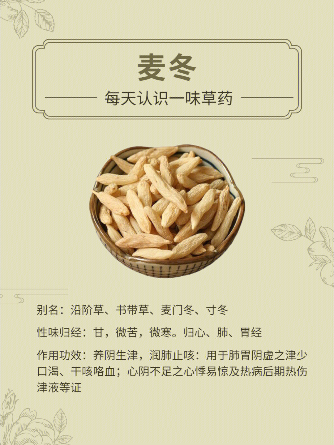 麦冬的功效与作用吃法图片