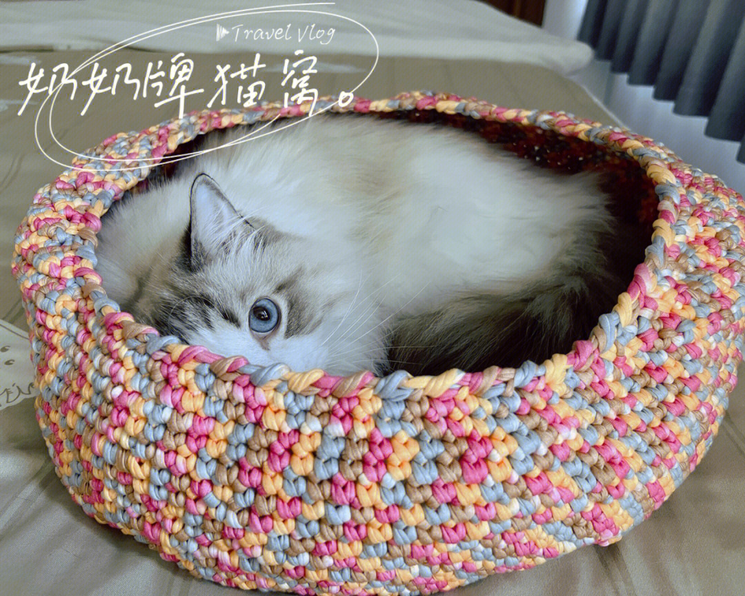 自织手工猫窝满分