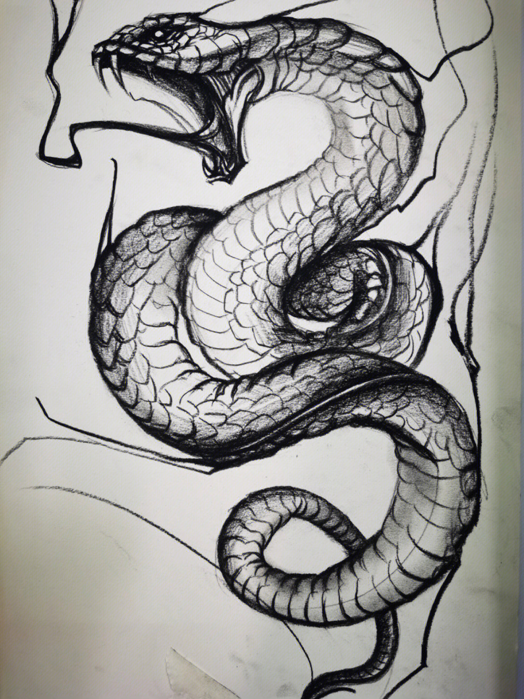 蛇素描速写创意美术绘画画画手绘动漫