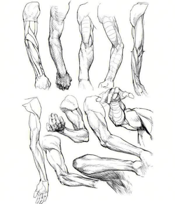 肌肉手臂画法图片