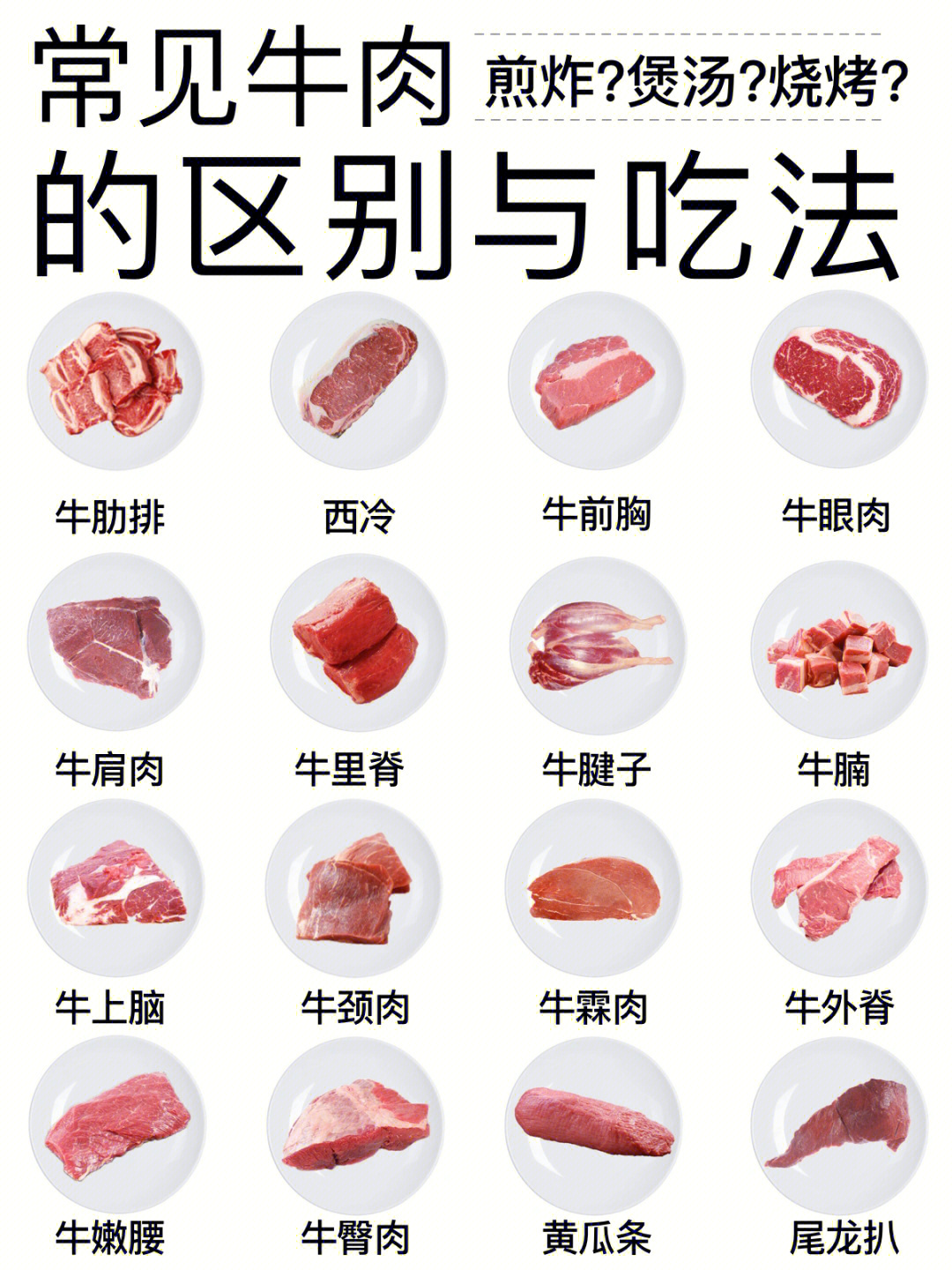 常见牛肉区别及用途一张图看懂牛肉各部位