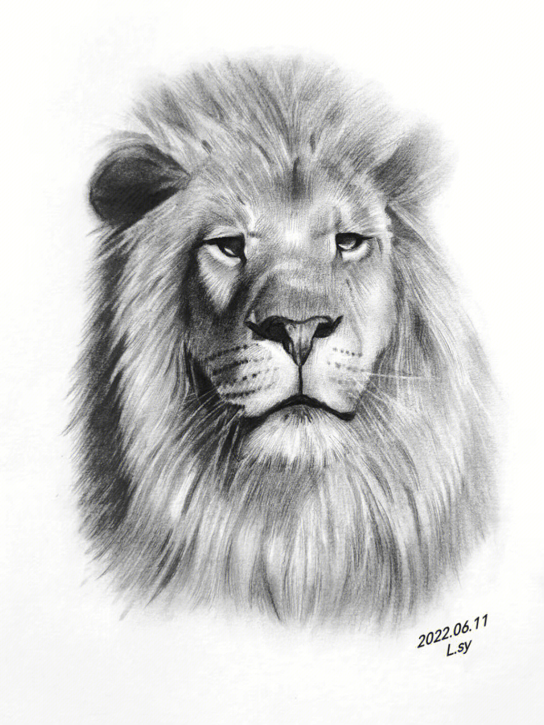 素描狮子王03步骤图分享
