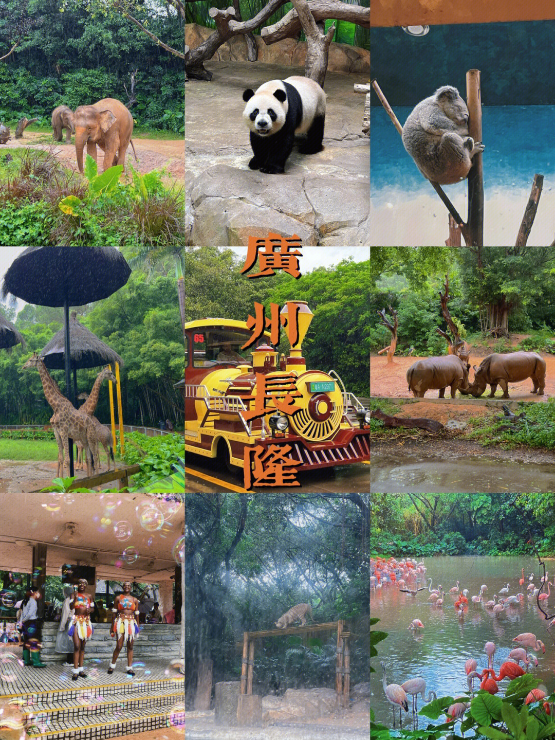 长隆logo野生动物世界图片