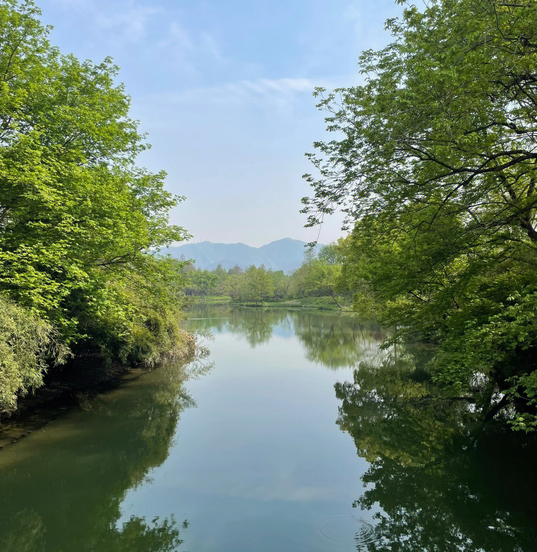 西溪湿地绿堤水下观光图片