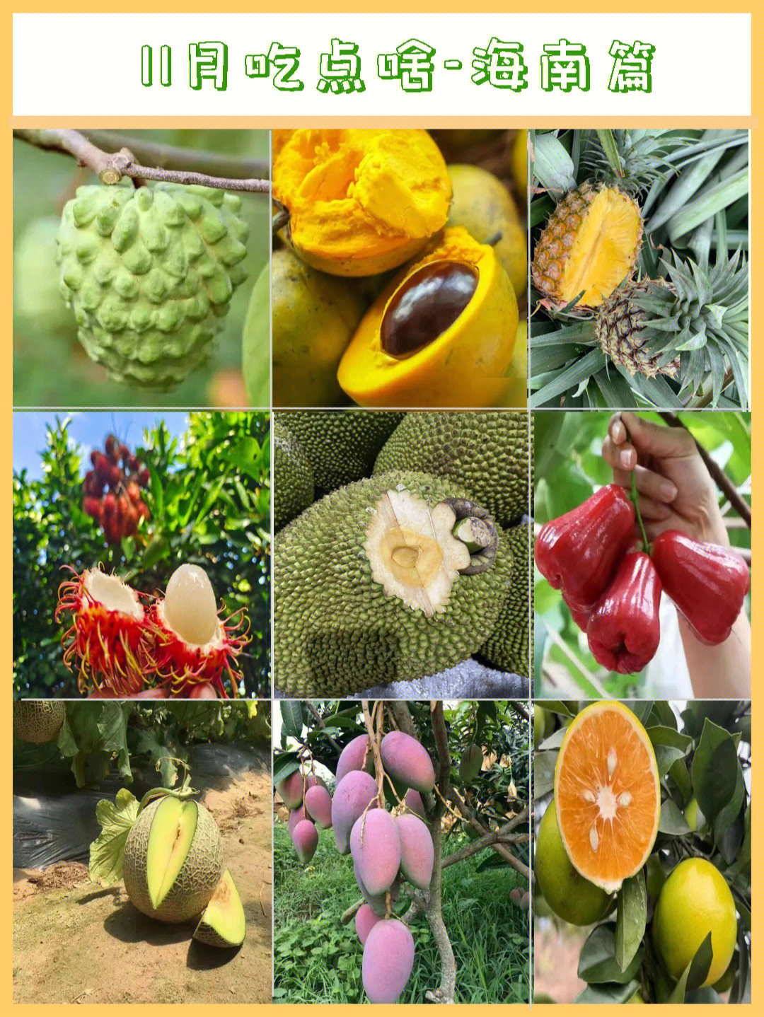 三亚水果种类图及名称图片