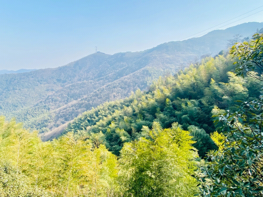 依循着王蒙的青卞隐居图登上卞山