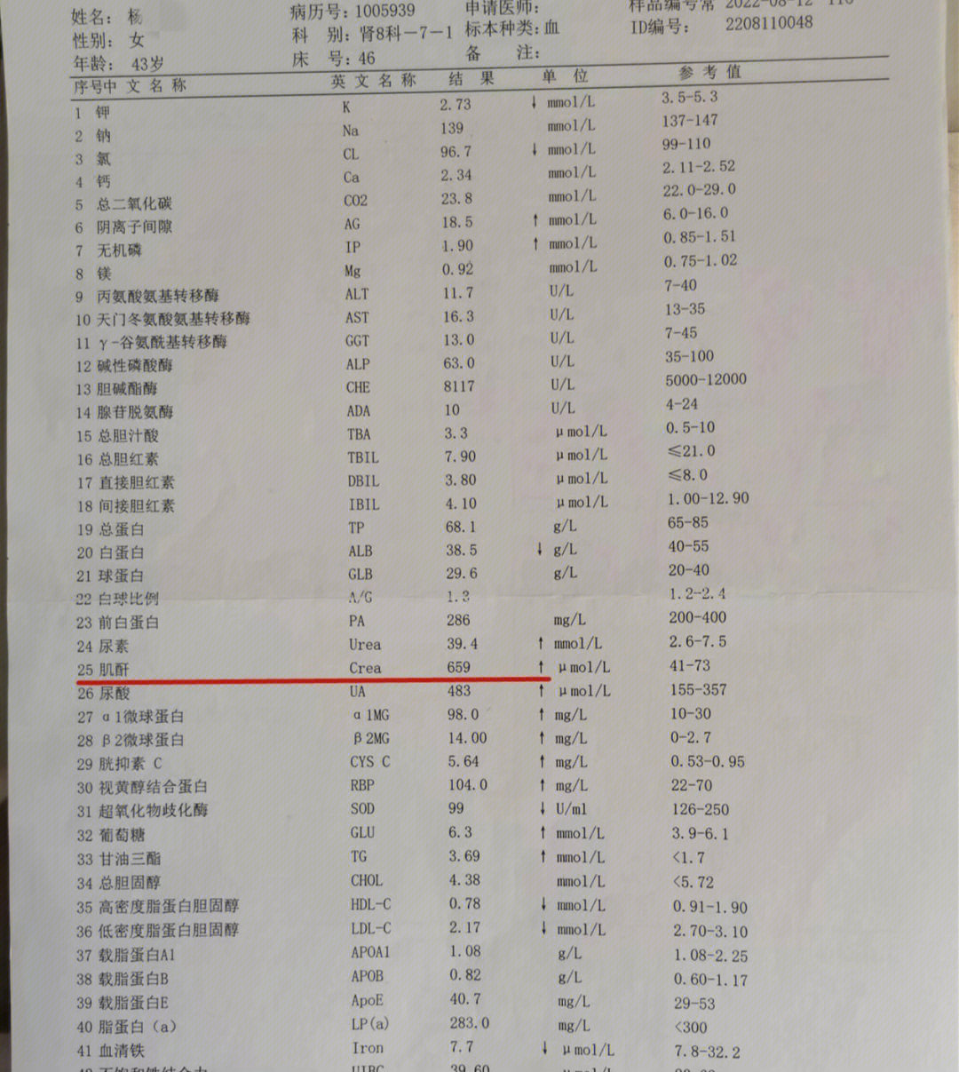 肌酐600图片