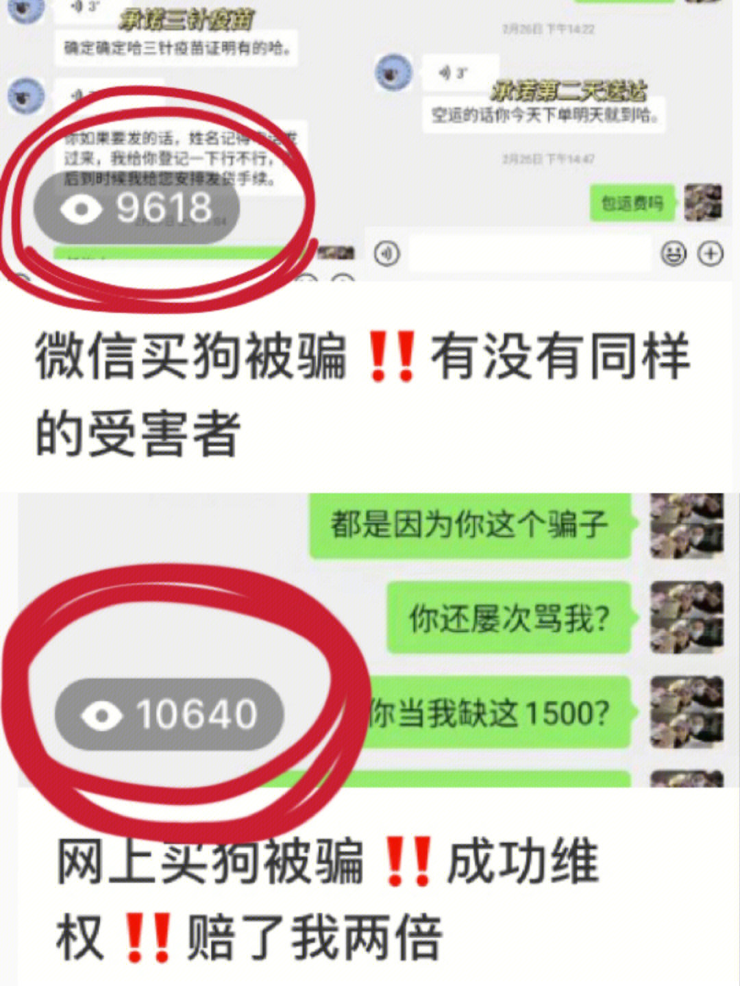 任何人再去网上买狗我都会伤心的‼️