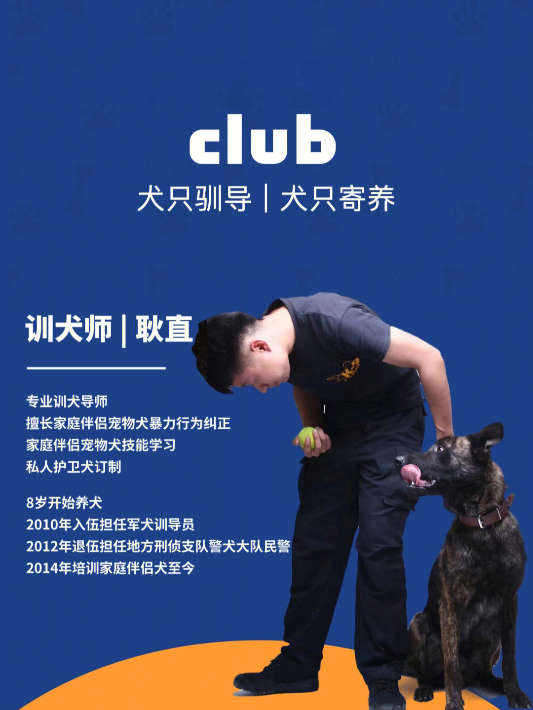 训犬广告海报图片