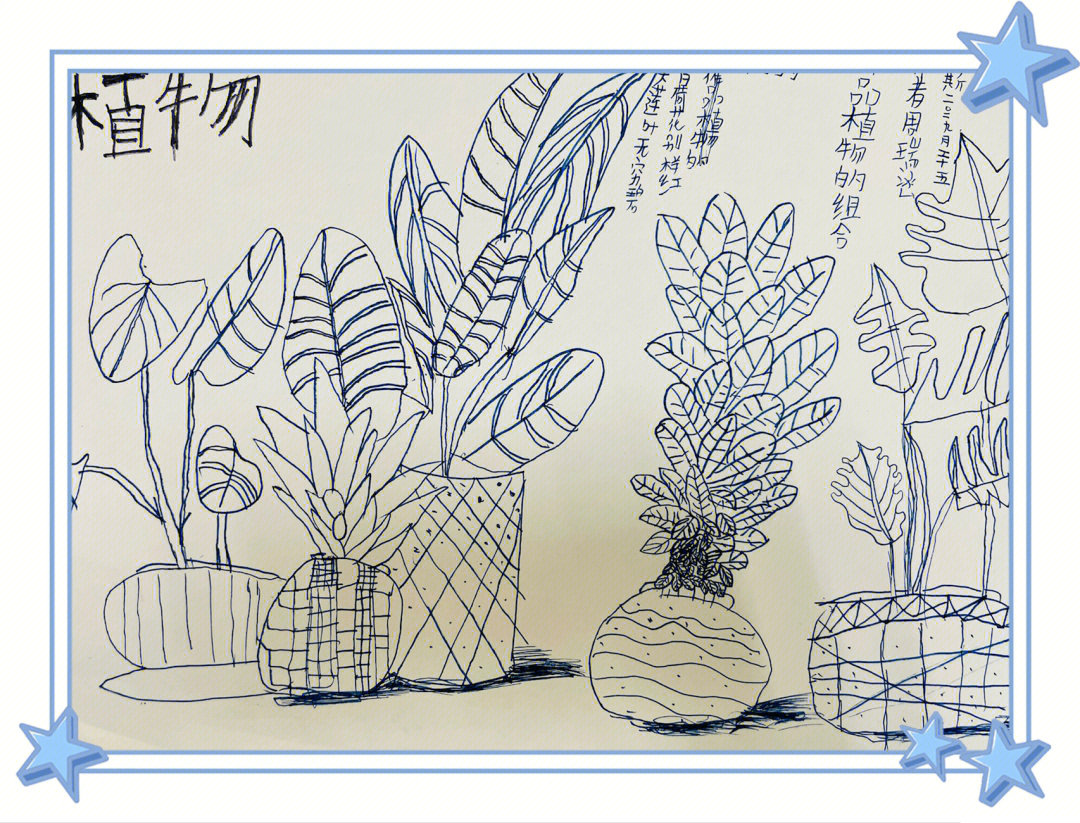 植物写生逐字稿图片