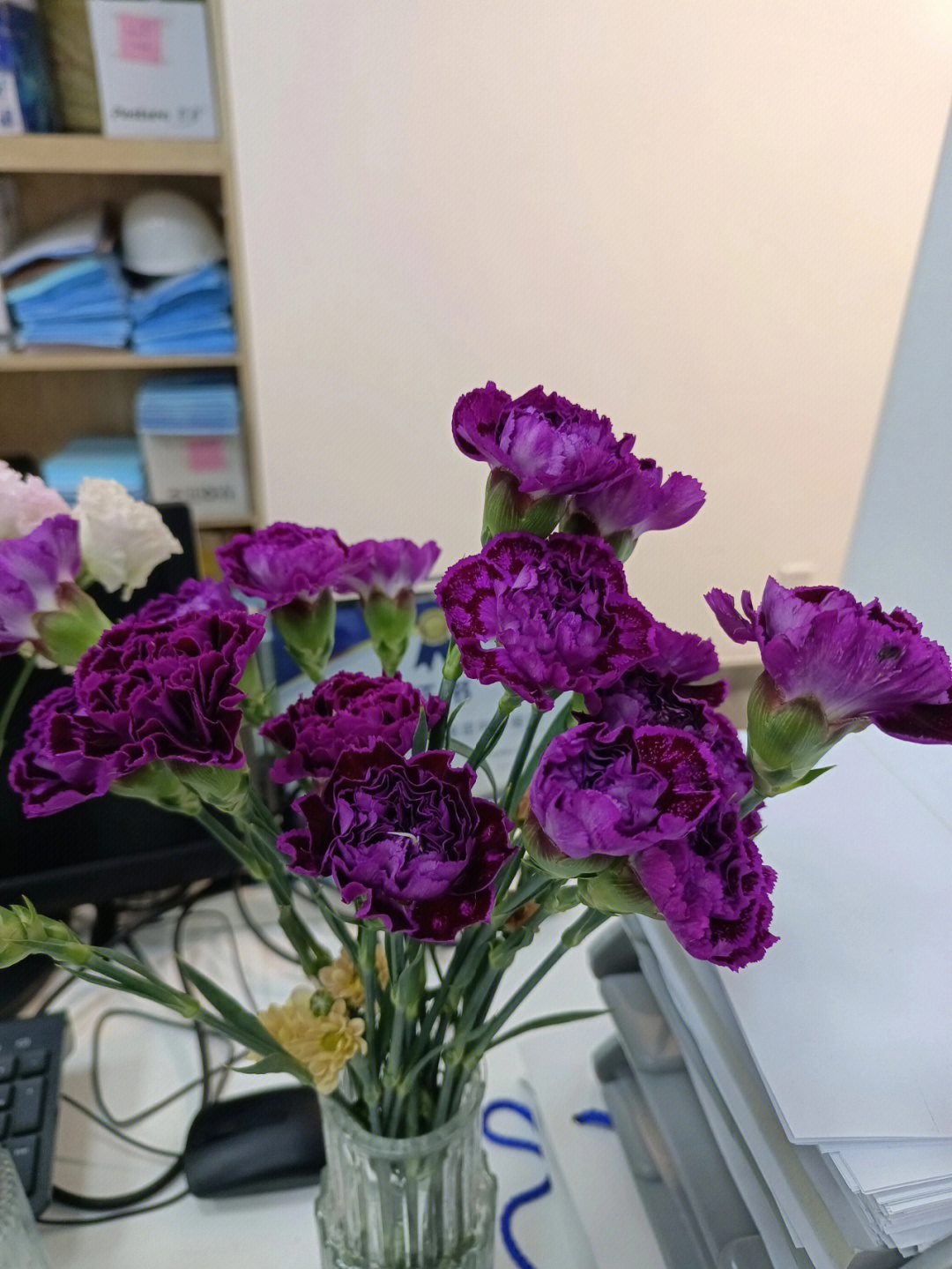 办公室鲜花康乃馨紫云跟洋桔梗波浪阳光