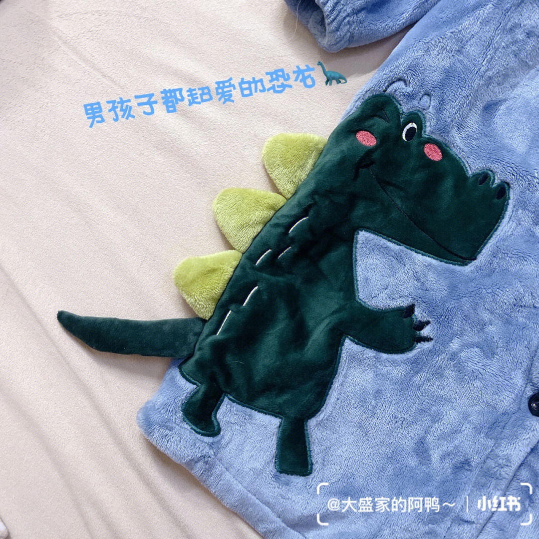 恐龙男童睡袍
