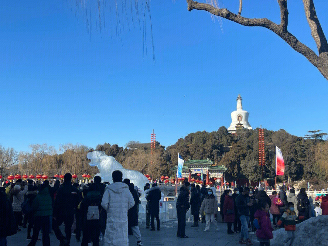 北京春节免费公园图片
