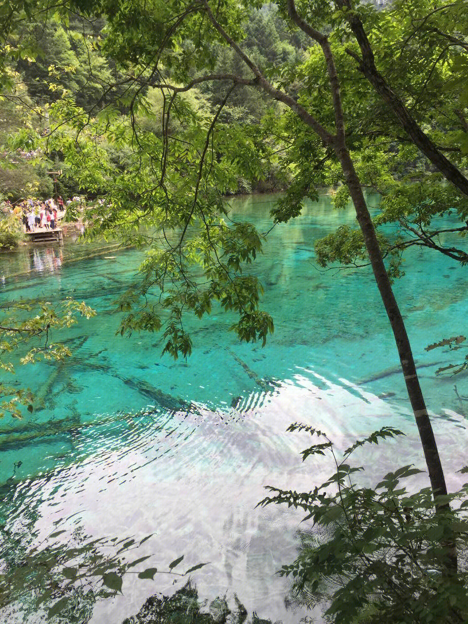 九寨沟景点怎样玩图片