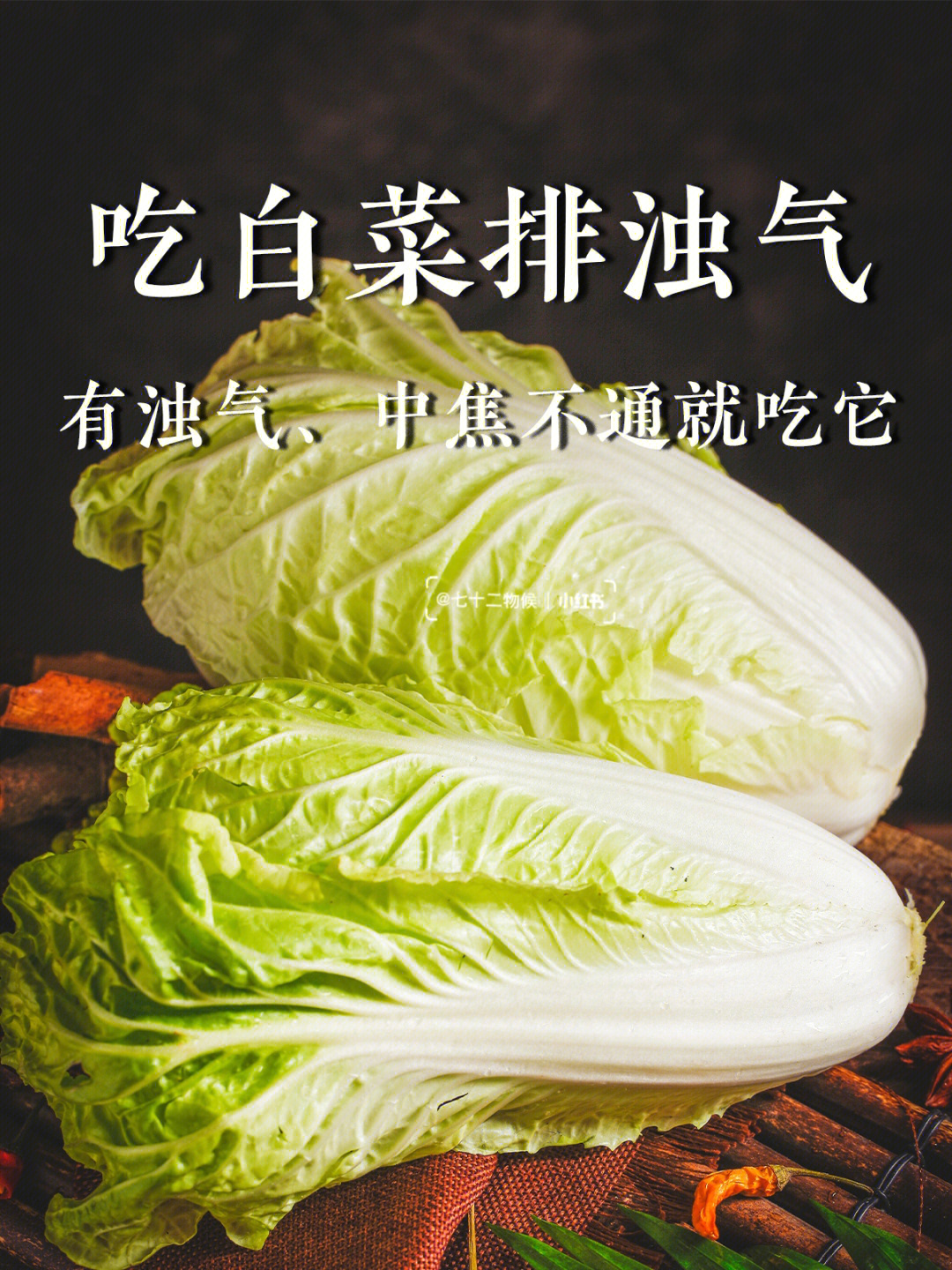 圆白菜种类及名字图片图片