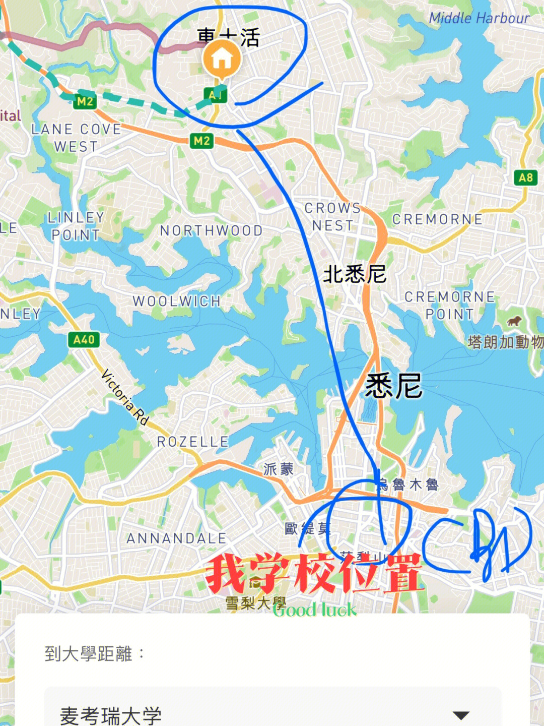 悉尼地图高清中文版图片