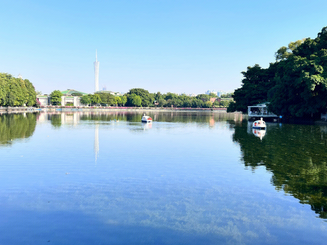 江门东湖公园划船图片