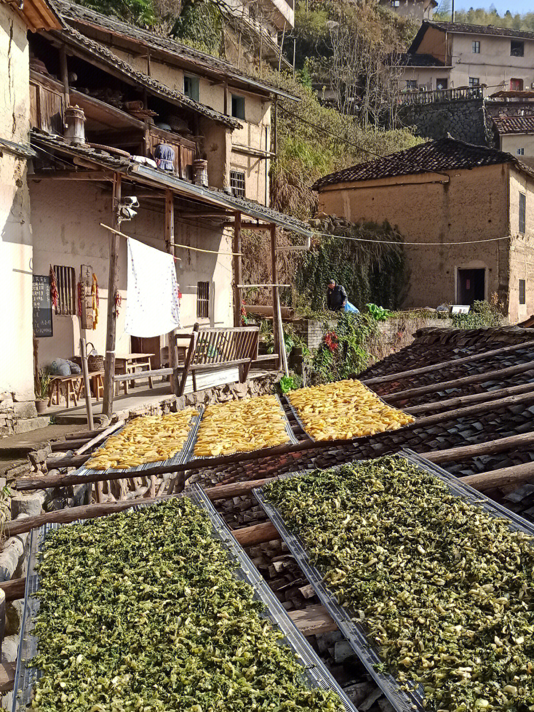 江南秘境松阳古村落陈家铺村